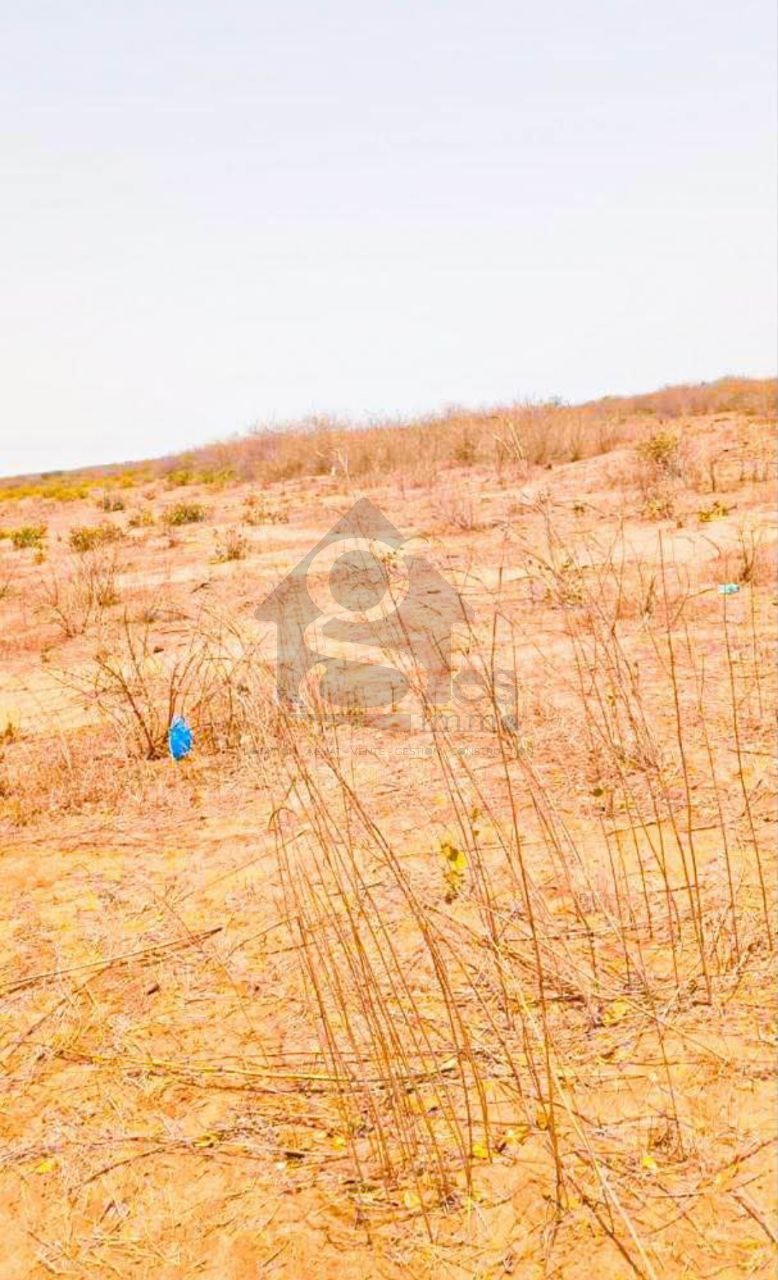 Terrain 300m2